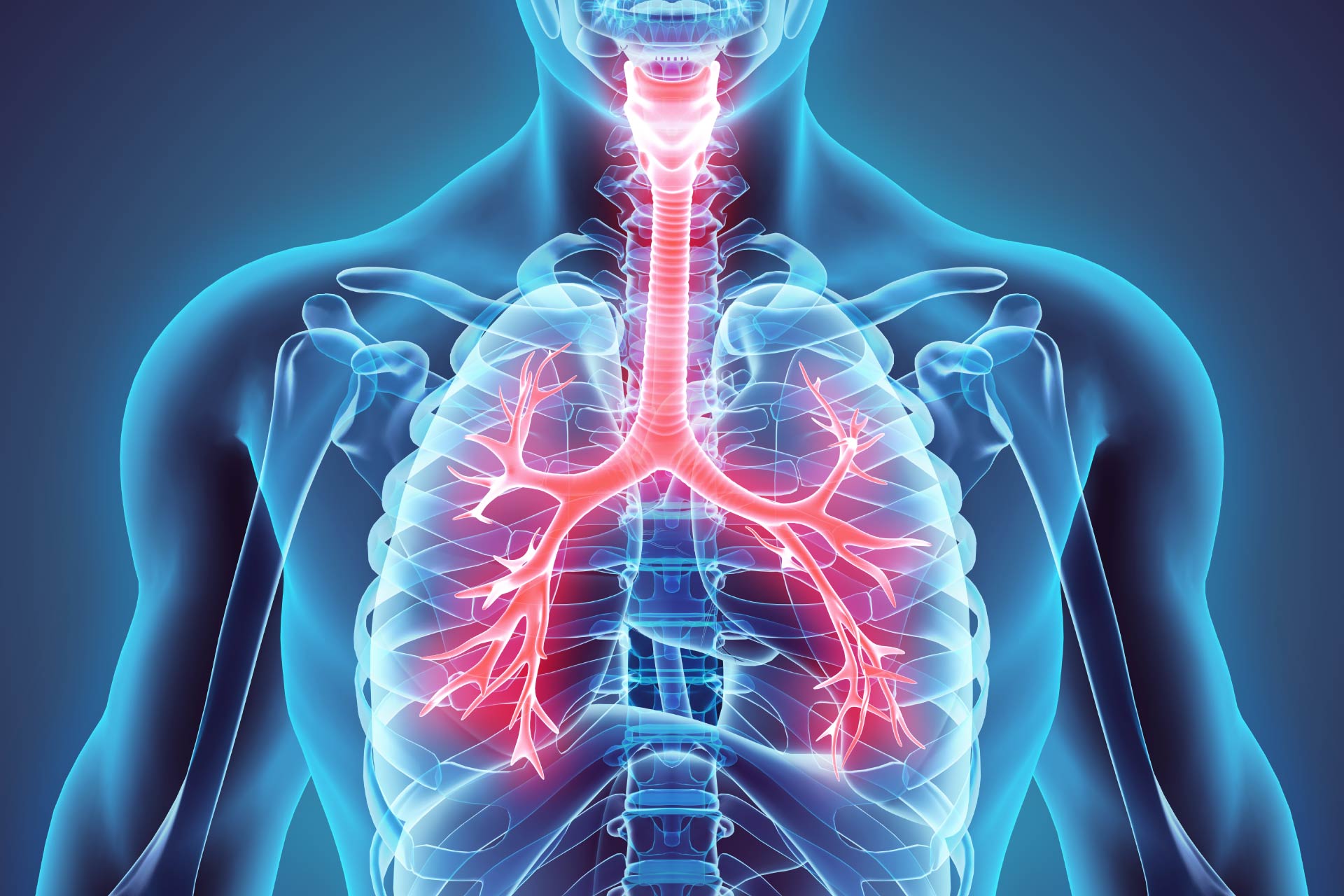 Sviluppo fisiologico della trachea dall'età neonatale all'età adulta